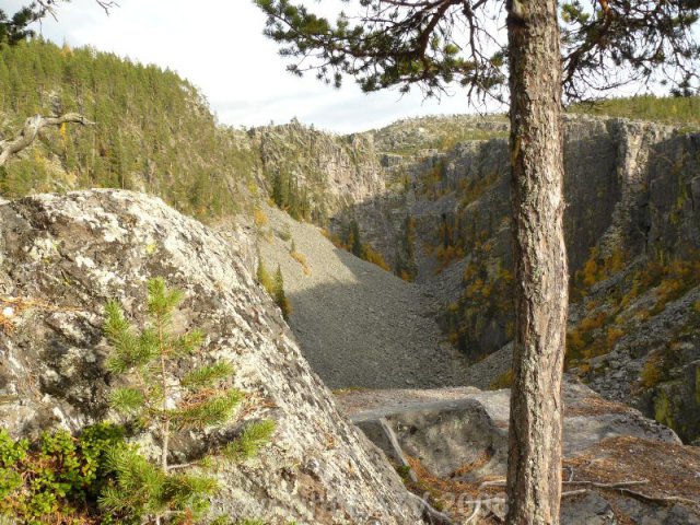 Tronfjellet